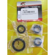 Комплект подшипников переднего колеса All Balls 25-1753 DRZ400K 00-03, DRZ400S 00-16, DRZ400SM 05-16