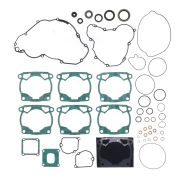 Полный комплект прокладок Athena + сальники EXC250/EXC300/TE250/TE300 24-25 P400270900096